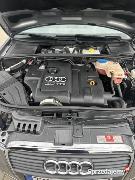 Audi A4 B7 Luboń