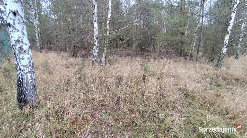 Urokliwa działka 1404m2 KARAKULE