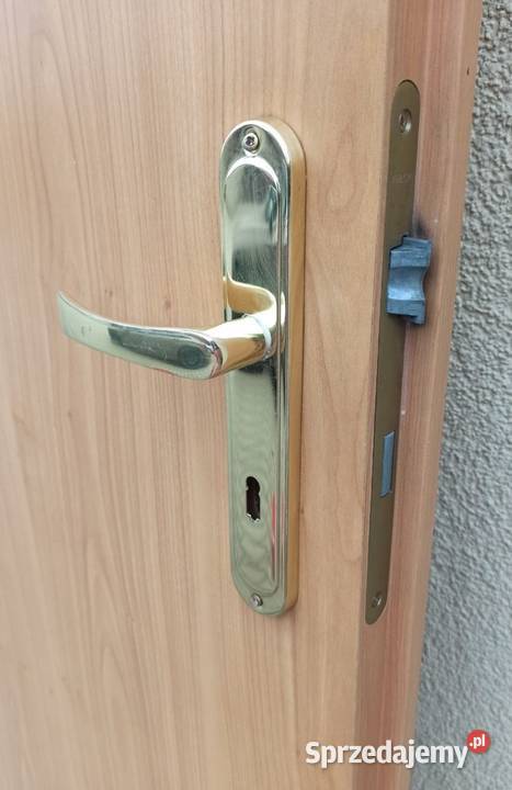 Drzwi Porta skrzydło prawe Drzwi wewnętrzne Gostyń