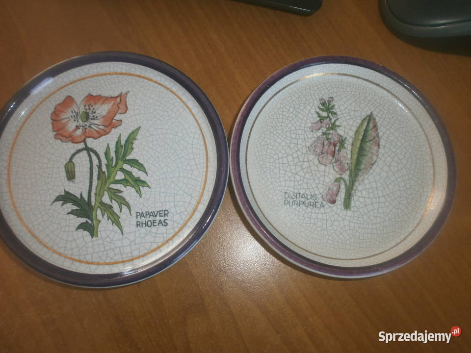 PLANTORGAN porcelana talerzyki 6 sztuk Pozostałe lubuskie Zielona Góra