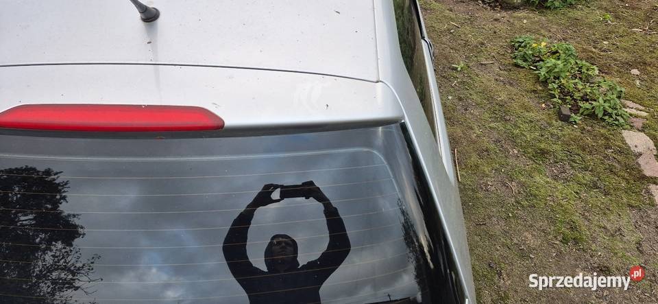 Klapa bagażnika tył tylna Vw Polo 9N LA7W Klapy bagażnika Słupsk