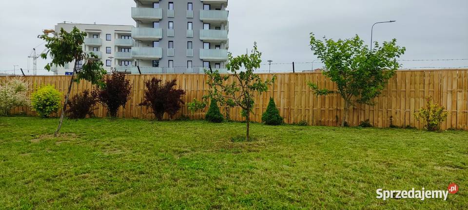 Sprzedam działkę ROD prąd warmińsko-mazurskie Ełk sprzedam