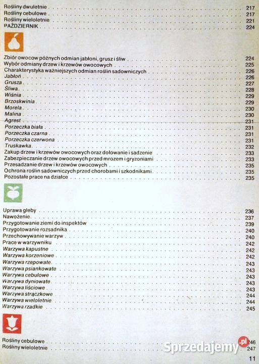 na działce D Haas Z Kawecki J Marcinkowski Chełm