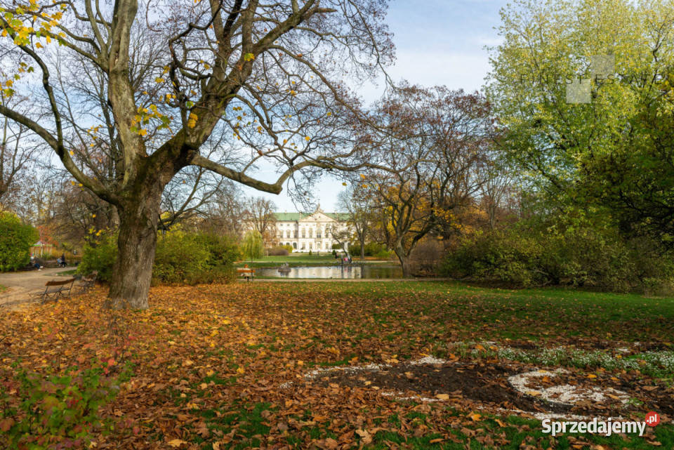 Mieszkanie 4663 metry Warszawa Plac Krasińskich