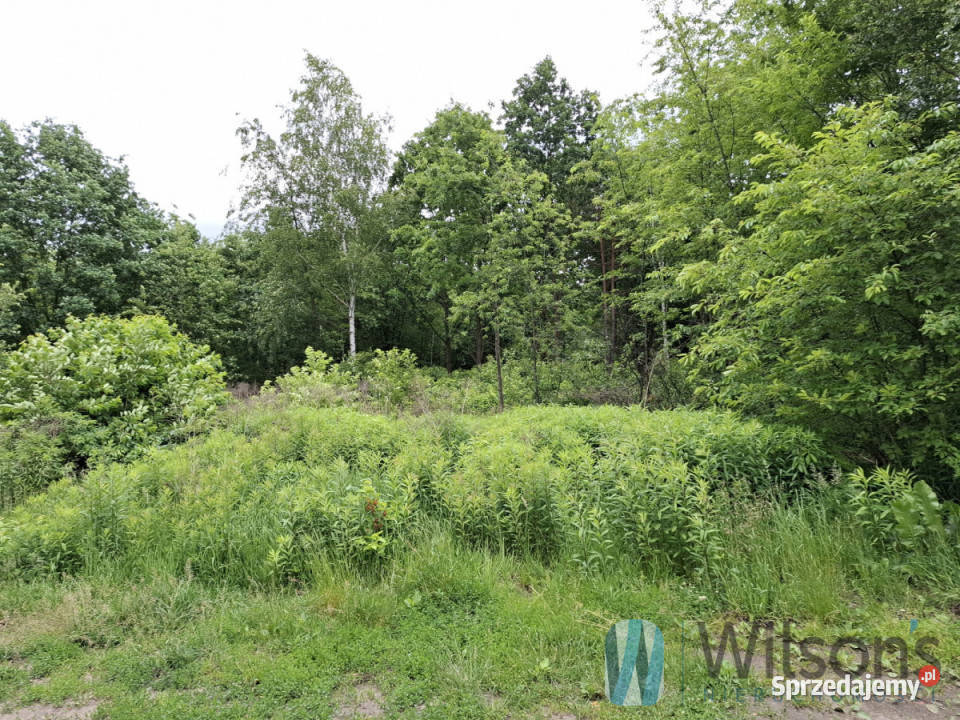 sprzedaży działki 1370m2 Kobyłka Ks Władysława