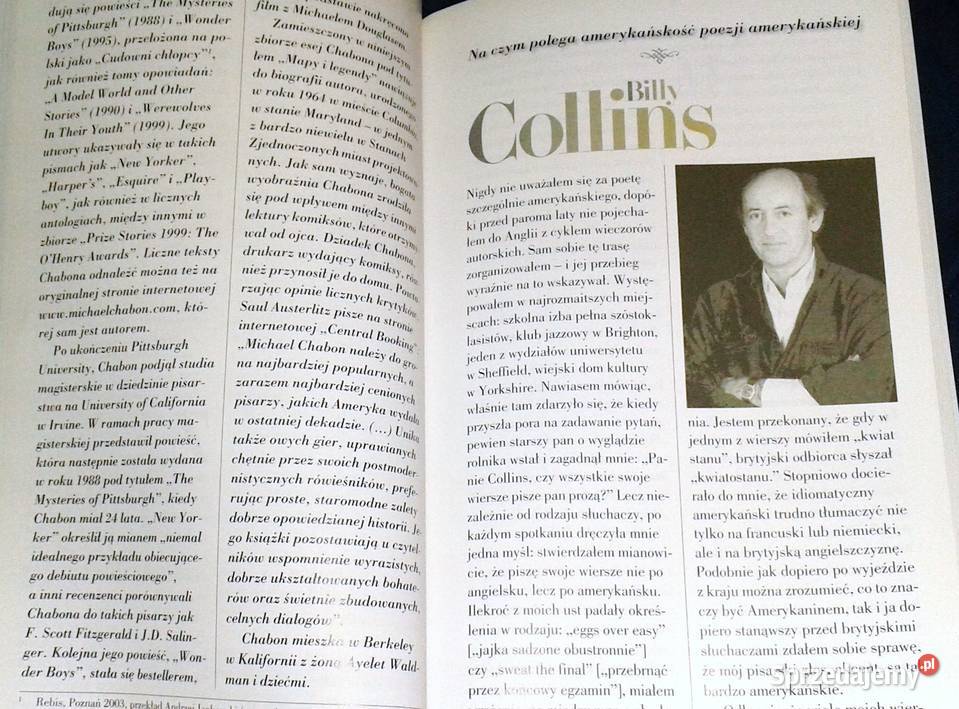 Pisarze o Ameryce 15 głosów ze słowem wstępnym Chełm