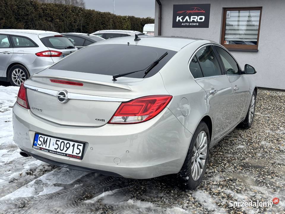 Opel Insignia Paniówki