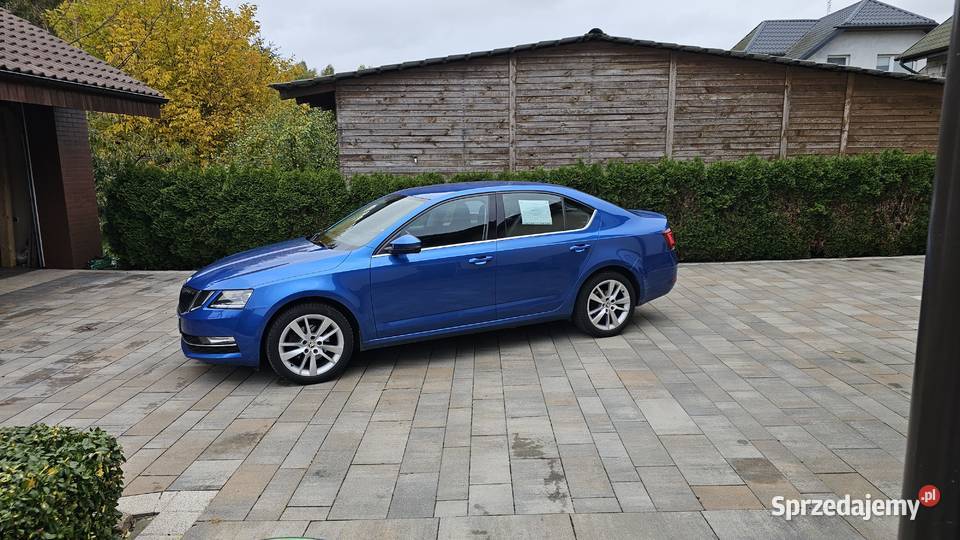 Skoda Octavia 2017r krajowe Kaczory