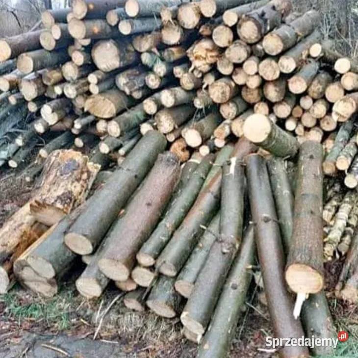 i tanie drewno opałowe kominkowe Wielbark i