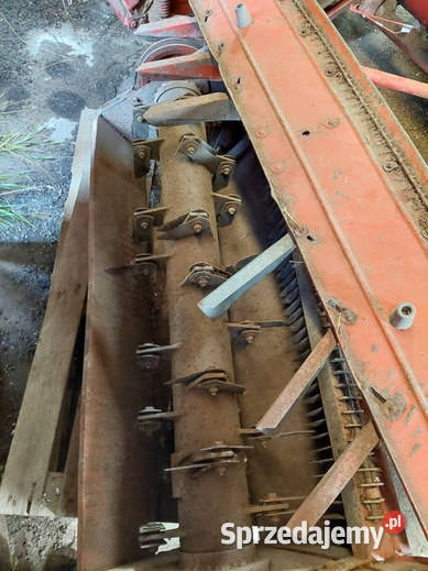 Bizon Super kombajn zbożowy Sprowadzony podlaskie Szołtany sprzedam