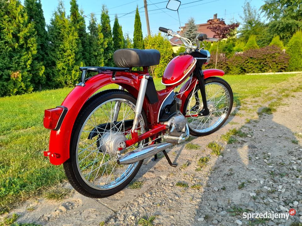 Komar 2330 podkarpackie Cierpisz