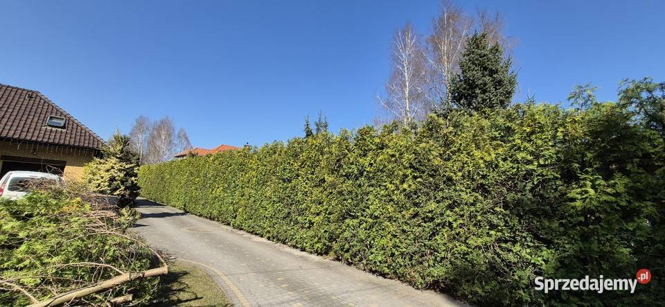 Usługi leśno ogrodnicze Pozostałe Kurnędz