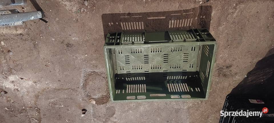 Skrzynki plastikowe 15 Czempiń