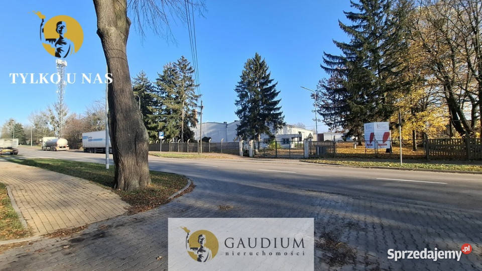 wynajmu lokalu 12m Tczew 12m2 Wynajem