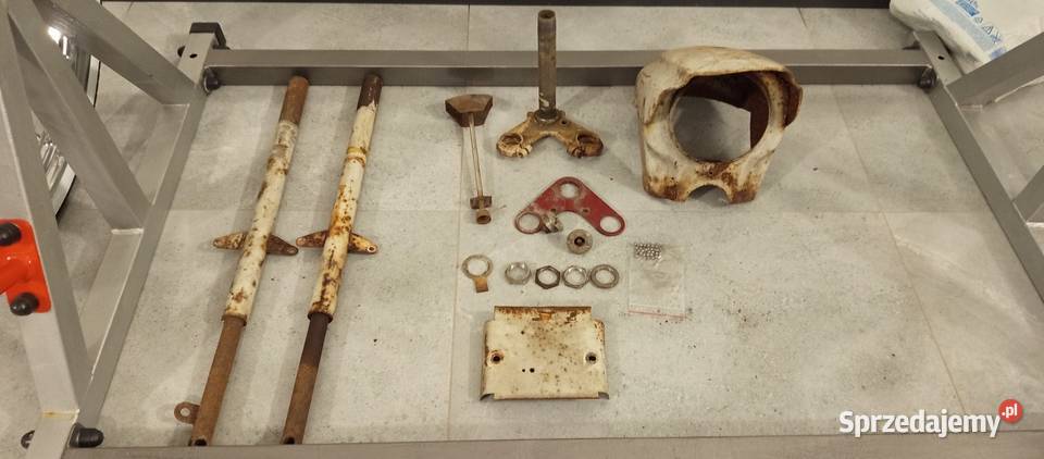 Rama jawa kaczka Skrzeszew sprzedam