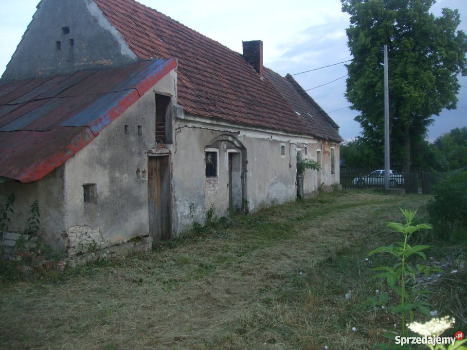 Dom działka 29 arów Czepielowice