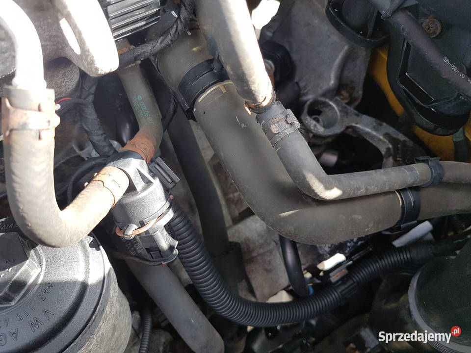 VW CADDY GOLF V 19 SDI 69 SILNIK BST MOTOR Rok produkcji 2006 wielkopolskie Turkowice