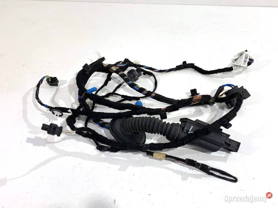 WIĄZKA DRZWI PRZÓD LEWY BMW F48 8797549 15 140 osobowe