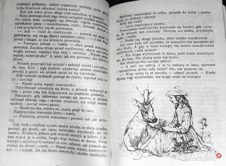 Baśnie Grimm Wilhelm i Jakub Grimm miękka