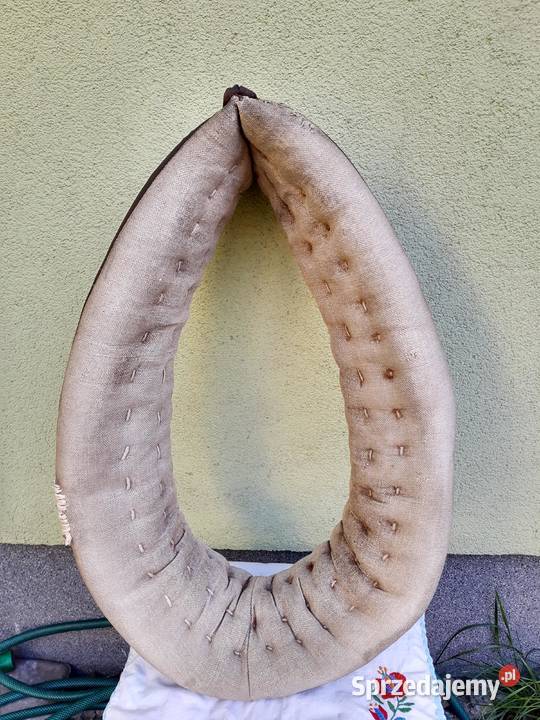 Zadbane chomąto krakowskie z podkładem Dekoracje i ozdoby świętokrzyskie sprzedam