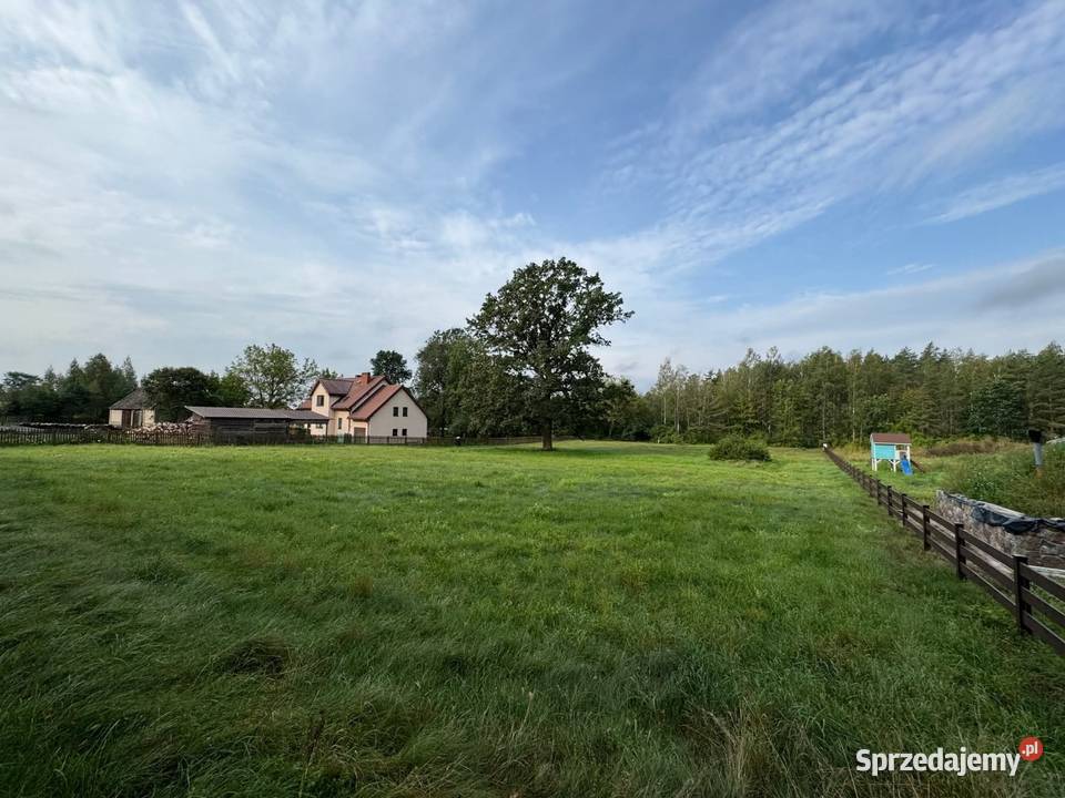 Działka budowlana o pow 3 499 m we wsi Jeże kanalizacja