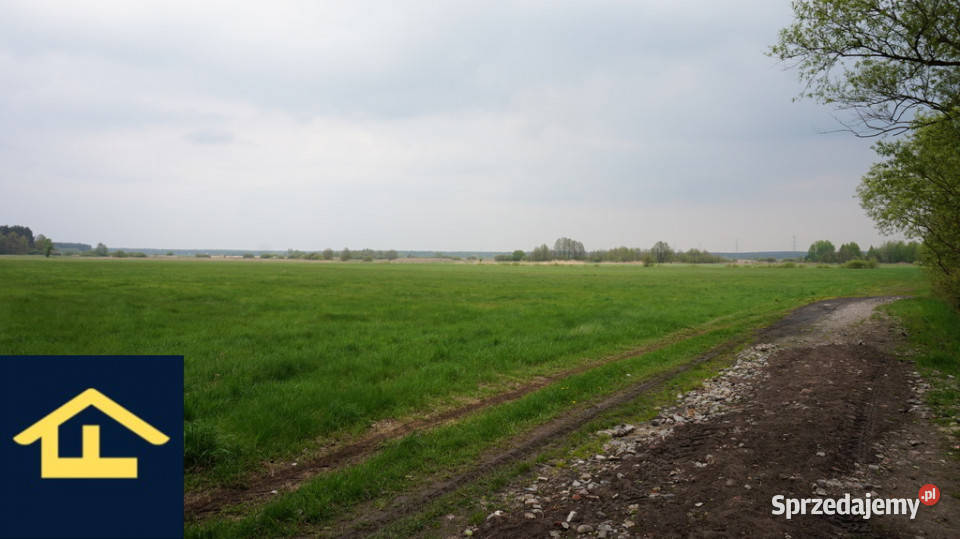 Nieruchomość w Całowaniu rolna sprzedam