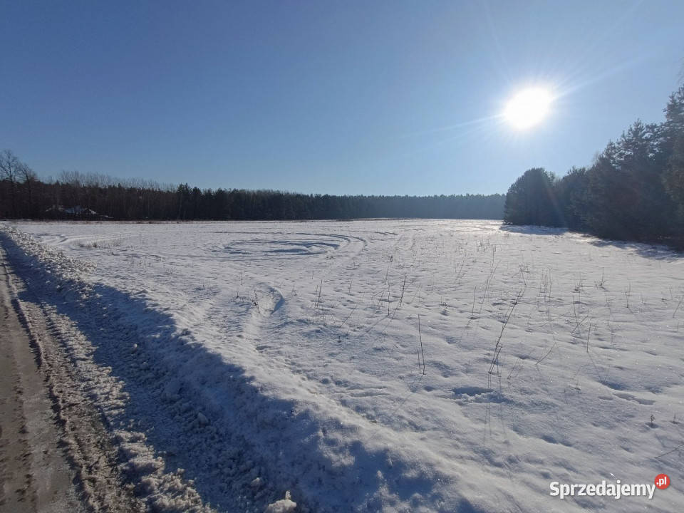 Sprzedaż gruntu Daleszyce 23170m2