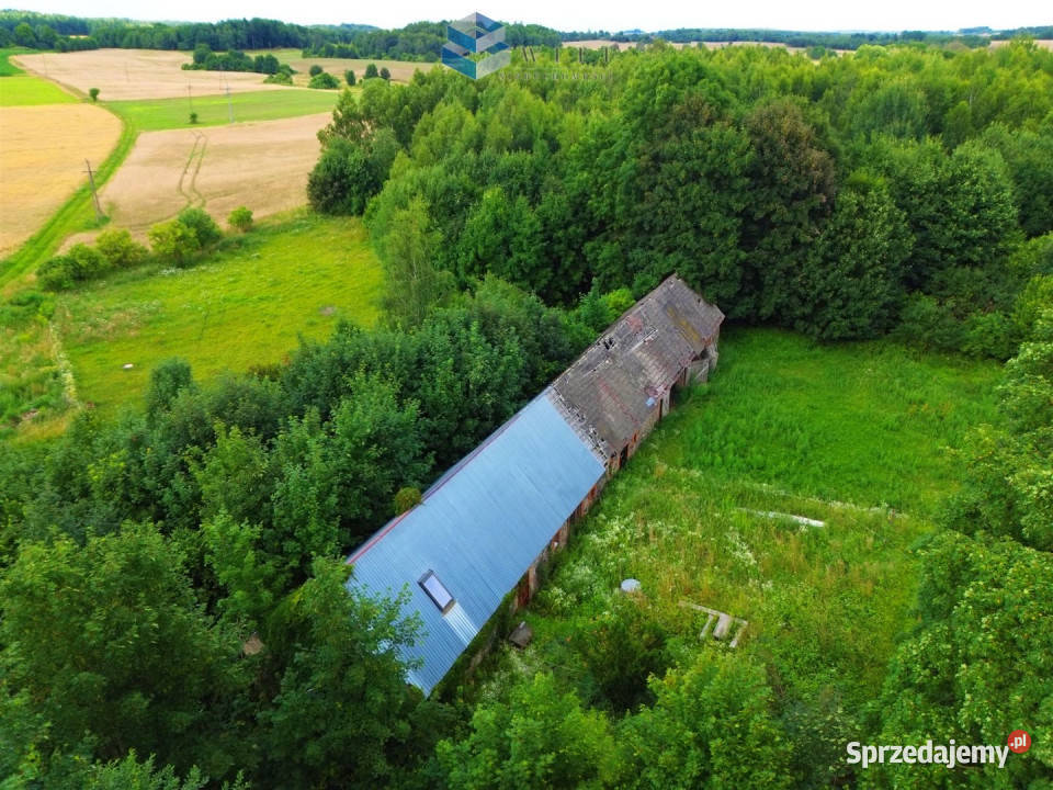 Grunt Marwałd 150700m2 polna sprzedam