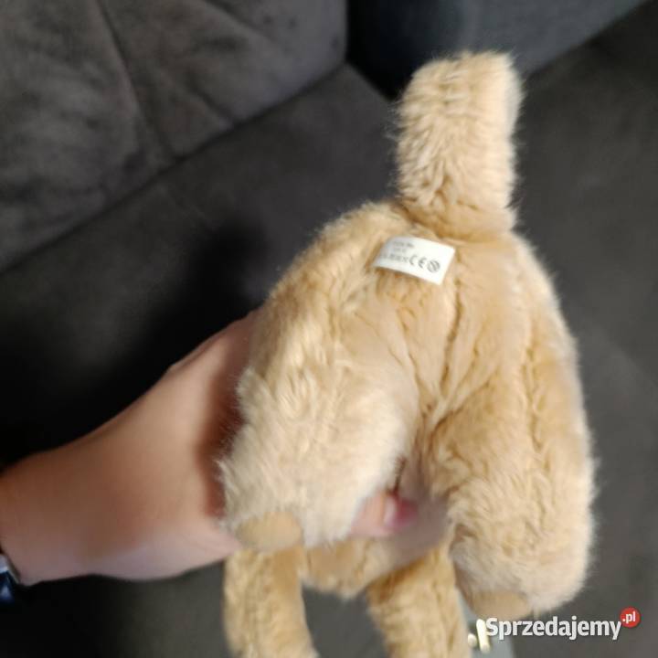 Pluszak piesek następny maskotka wielkopolskie Poznań