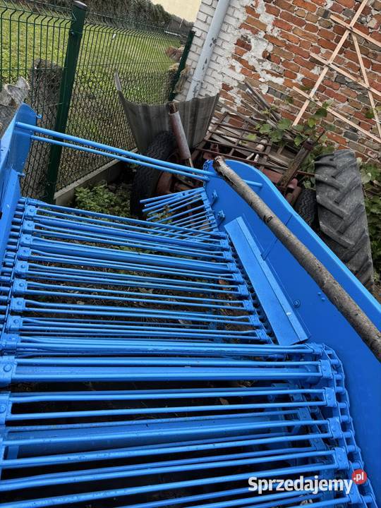 Kopaczka elewatorowa do ziemniaków Padew Narodowa