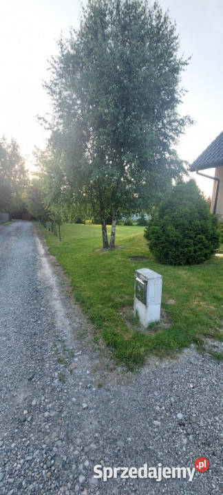 Sprzedam dom jednorodzinny Piętro 1 Sprzedaż śląskie Meszna