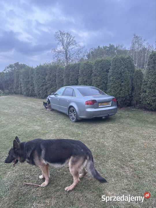 Audi A4 B7 19 TDI 2007 NA CZĘŚCI CAŁOŚĆ centralny zamek podkarpackie Rzeszów sprzedam