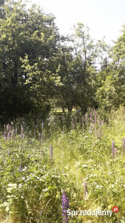 Gałków Mały działka na sprzedaż budowlana 1574 m Sprzedaż