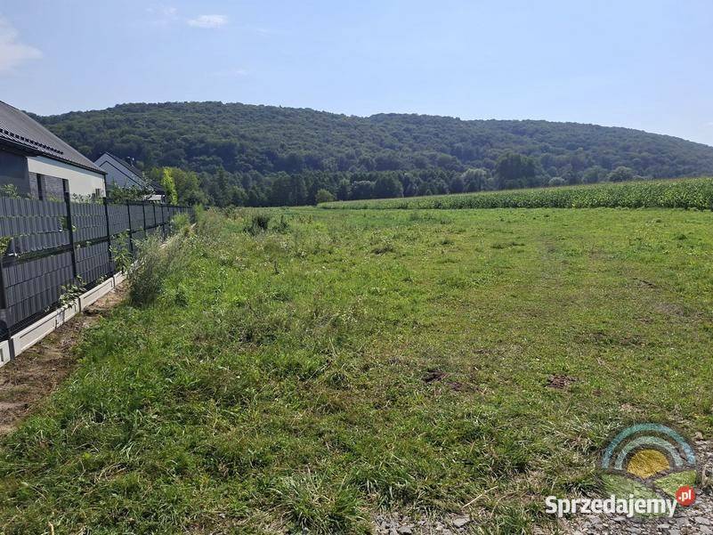 Niegoszowice gm Zabierzów płaska działka 4407 m2 111zł/m2 małopolskie
