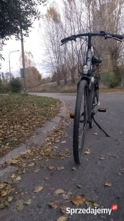 Rower damski trekkingowy GIANT Argento Koszyk łódzkie Łódź