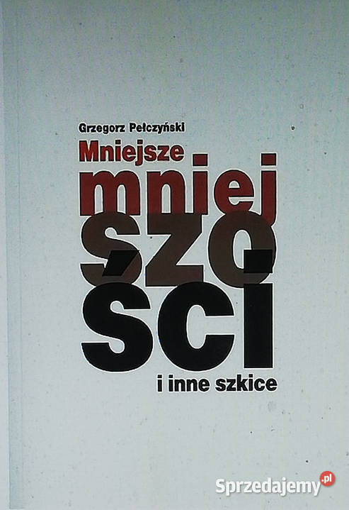 Mniejsze mniejszości i inne szkice Łódź