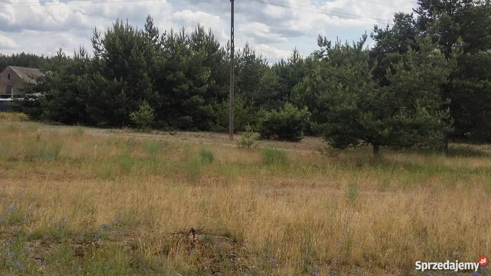 sprzedam działkę w malowniczej wsi warunki