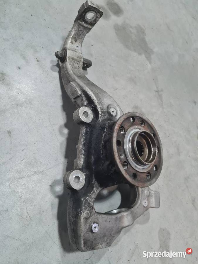 W205 pasta prawa wielkopolskie
