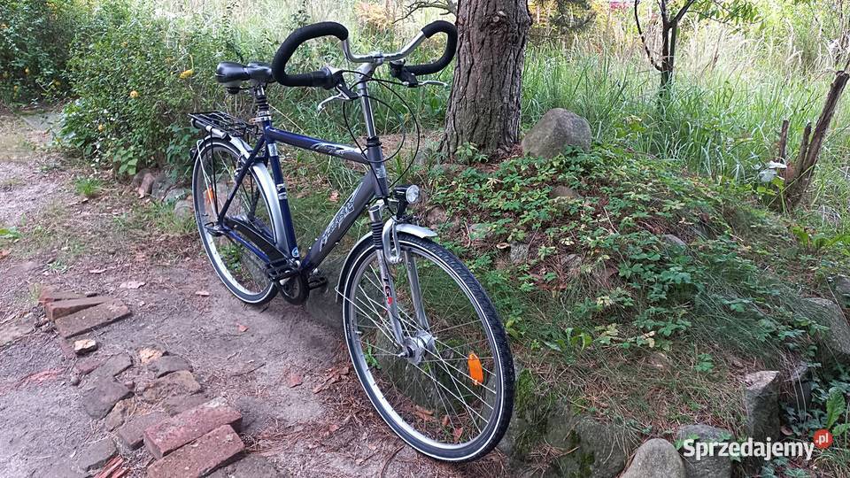 Alu Rower Miejski Męski Pegasus Avanti Sram S7 Miejskie Wołów