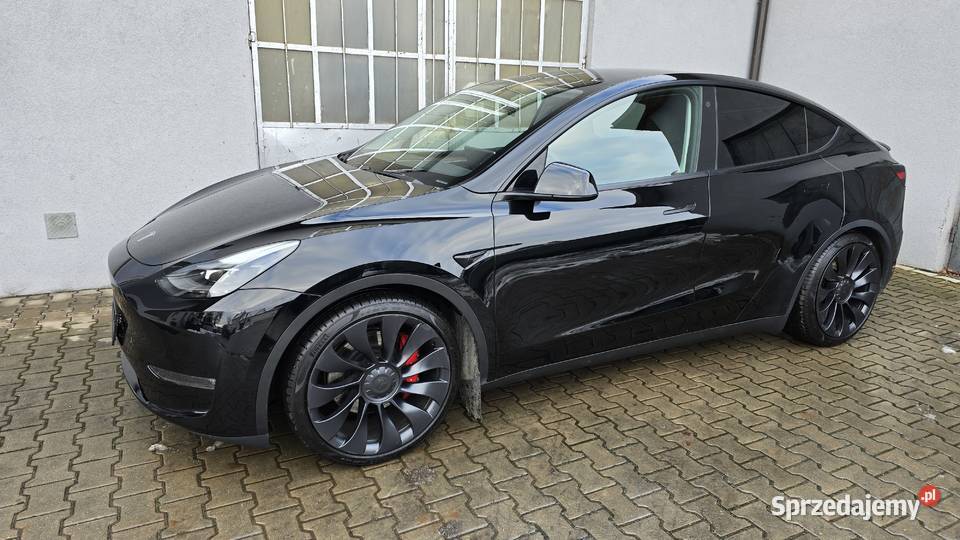 Tesla Model Y Performance Dual Motor AWD Nowy Świętów sprzedam