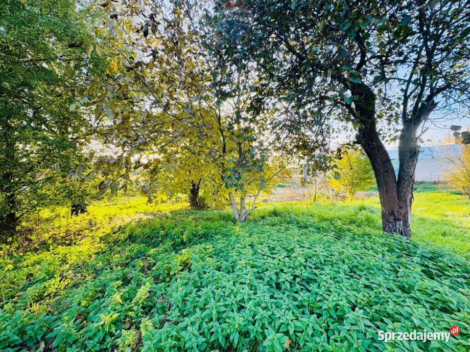 Działka budowlana 1766 m z garażem Niedobczyce Rybnik