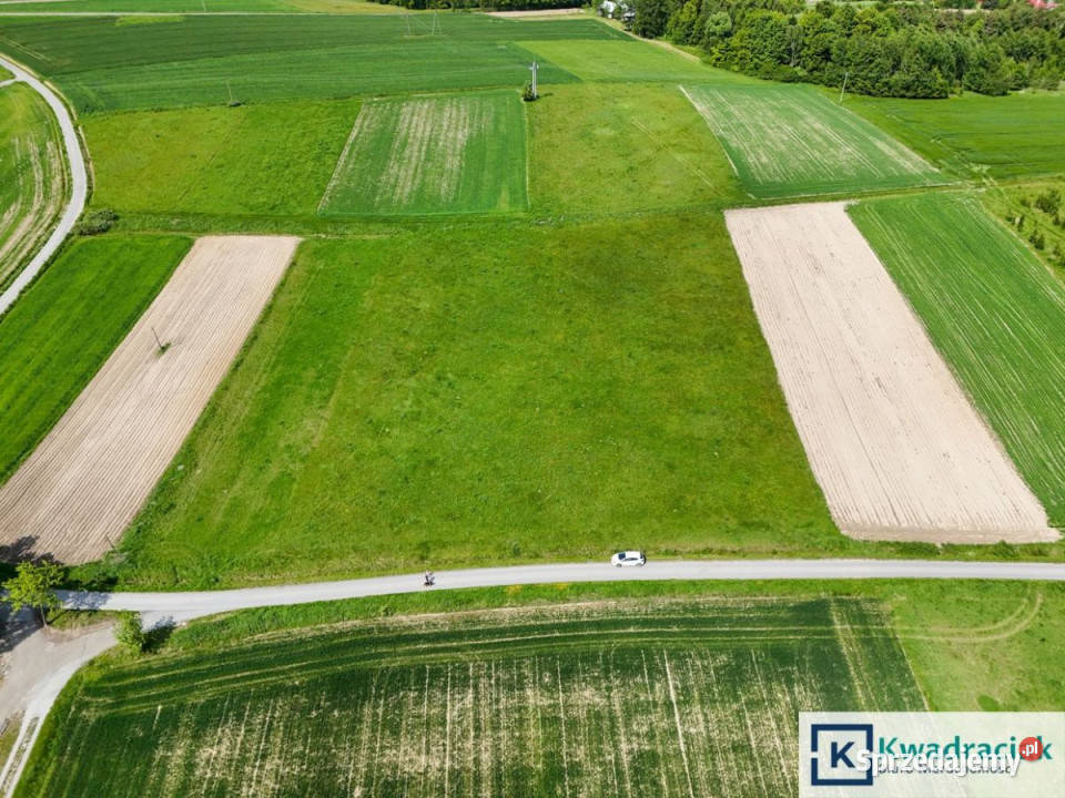 sprzedaży działki 10500m2 Czermna sprzedam