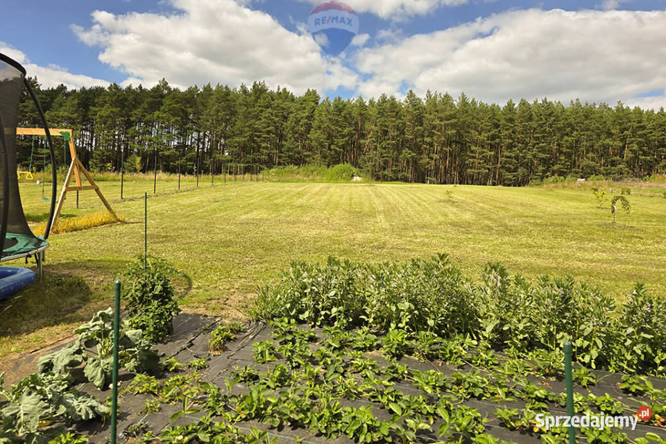 Bajeczna działka pod lasem z rozpoczętą budową Nieruchomości lubuskie Sudoł