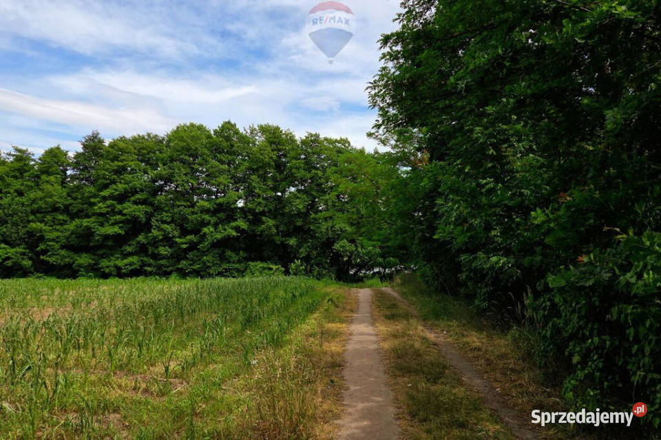 Działka jeziorze Pniew Buszewo