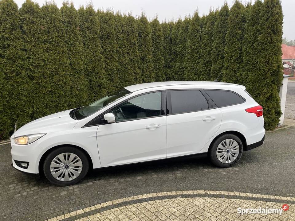 Ford Focus Super Stan wersja Business Serwis ASO lubuskie Sulechów