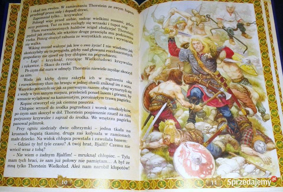 Przygody Thorsteina Wikinga Natalia Usenko twarda Chełm