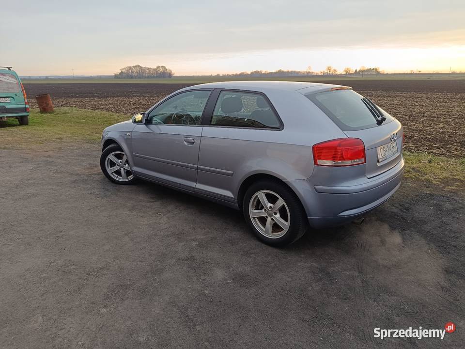 Zadbana audiczka zamienie Inowrocław