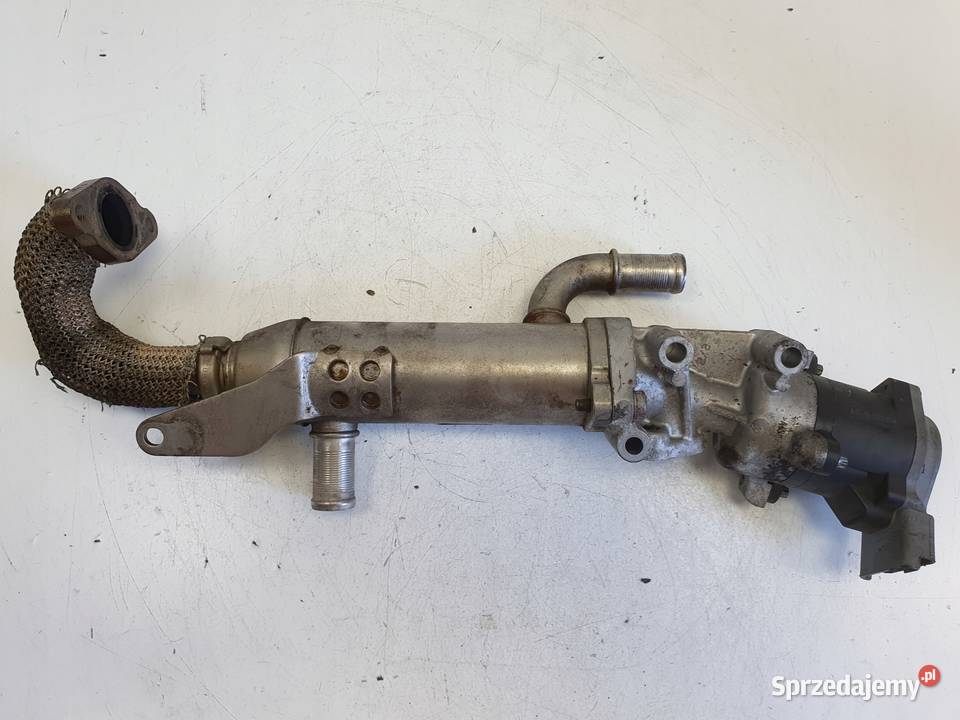 Land Rover Discovery III 27 TD V6 ZAWÓR EGR