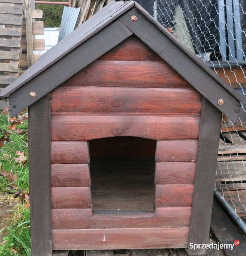 buda psa nowa Niemce