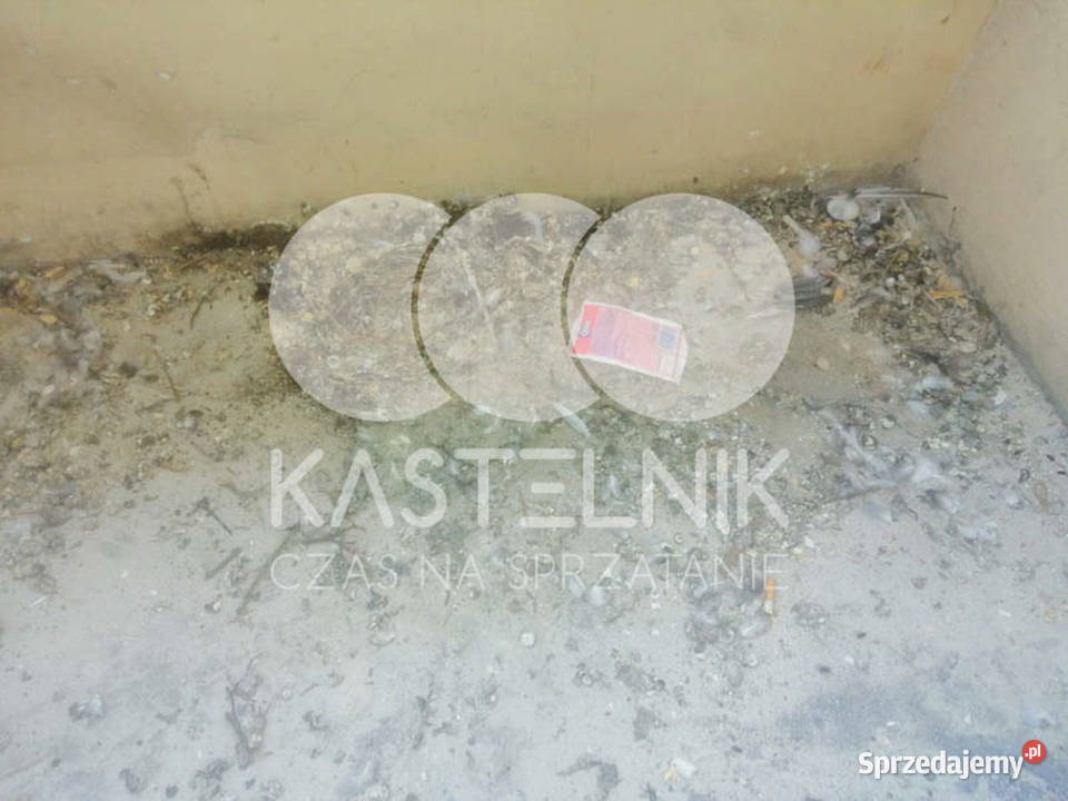 Sprzątanie gołębiach Kutno Kastelnik mycie